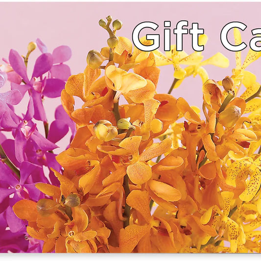 Gift Card –  Blessing Blossom Designs Llc, Charlotte NC