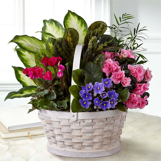 Peaceful Garden Planter –  Blessing Blossom Designs Llc, Charlotte NC