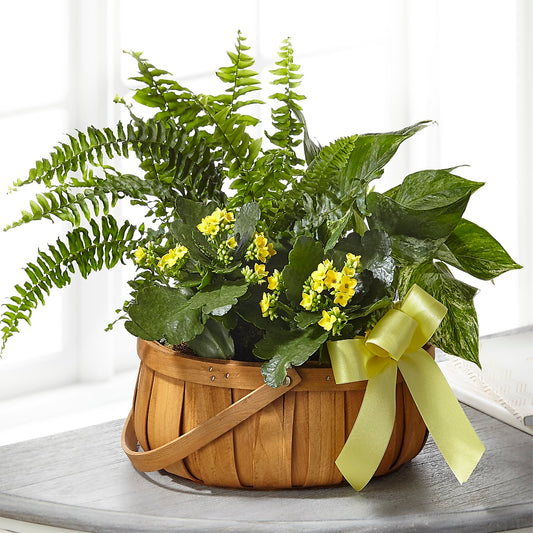 Always Dear Dishgarden –  Blessing Blossom Designs Llc, Charlotte NC