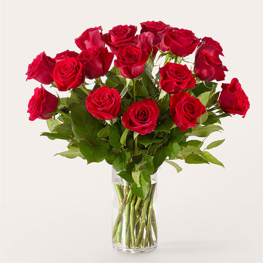 The One Red Rose Bouquet –  Blessing Blossom Designs Llc, Charlotte NC